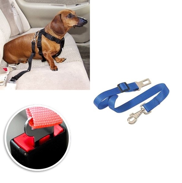 Ζώνη ασφαλείας για σκύλο μπλε