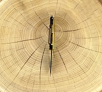 CAT Σουγιάς αναδιπλούμενος με γάντζο 13.3cm 980266IG