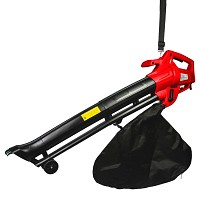 RAIDER Φυσητήρας ηλεκτρικός 2600W RD-EBV03 075522