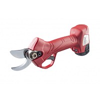 RAIDER Ψαλίδι κλάδου μπαταρίας 16V 2x2Ah 25mm RD-PSH02 075725