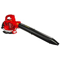 RAIDER Φυσητήρας χειρός βενζίνης 1hp RD-GBV06 077404