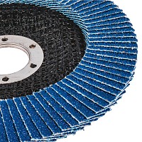 RAIDER Δίσκος φυλλαράκι Φ125 G40 164131