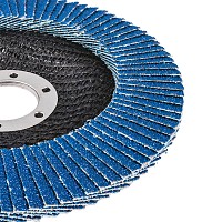 RAIDER Δίσκος φυλλαράκι Φ125 G80 164133