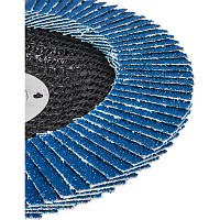 RAIDER Δίσκος φυλλαράκι Φ125 G100 164134