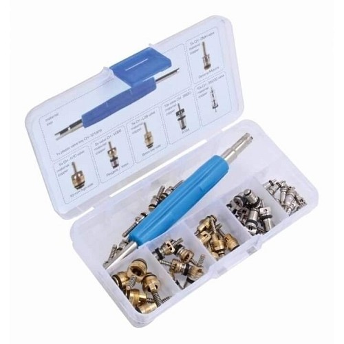 ASTA TOOLS Βαλβίδες για a/c αυτοκινήτων 41τεμ