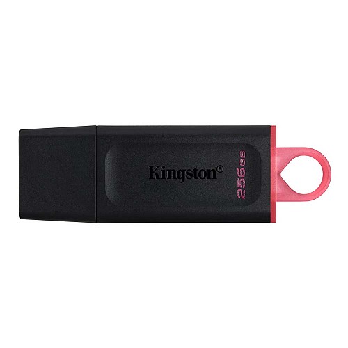 Kingston DataTraveler Exodia 256GB USB 3.2 Gen 1 (DTX/256GB) (KINDTX/256GB)