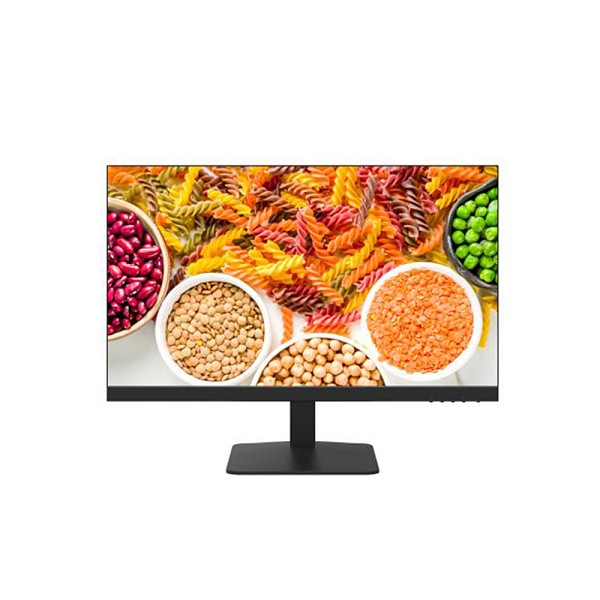 HIKVISION FHD 100Hz Borderless Monitor 24 (HKVDS-D5024F2-1P2)