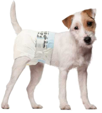 Ανοιγόμενη πάνα-βρακάκι σκύλου S 12 τεμάχια OEM