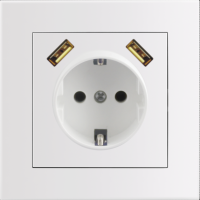 Entac Arnold Recessed wall socket earthed + 2 USB 2.1A (total) White