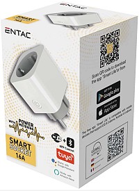 Entac Smart Μετασχηματιστής με Μετρητή Ισχύος WIBLE