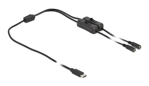 DELOCK καλώδιο USB Type-C σε 2x DC 5.5 x 2.1mm 86800, 1m, μαύρο 86800