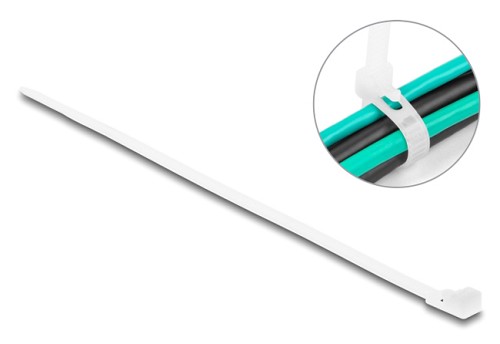 DELOCK reusable δεματικά καλωδίων 18642, 200x4.8mm, λευκά, 100τμχ 18642