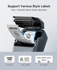 NIIMBOT smart θερμικός εκτυπωτής ετικετών B1, 203dpi, Bluetooth, μπλε B1-BL