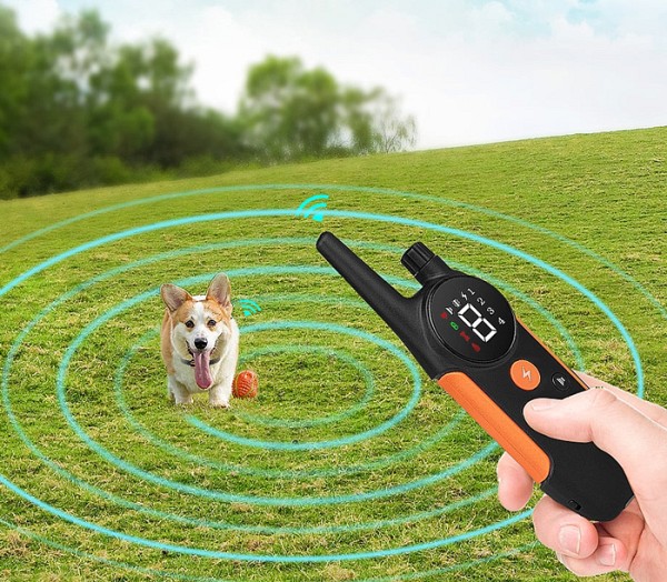 POWERTECH ηλεκτρικό κολάρο εκπαίδευσης σκύλου PT-1399 με ασύρματο χειριστήριο, εμβέλεια 300m PT-1399