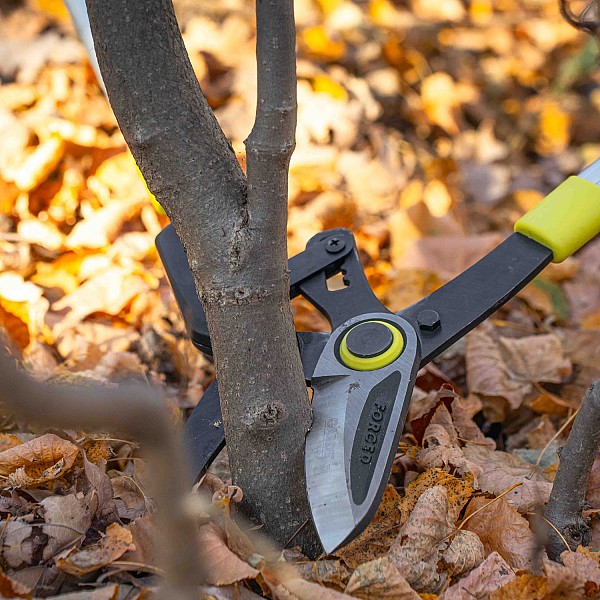 GARDEX Ψαλίδα κλάδου τηλεσκοπ. αλουμινίου λαβή 700mm 382918